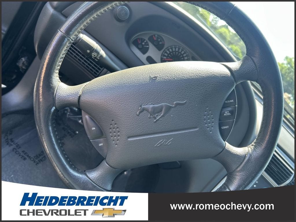 2004 Ford Mustang Premium Mach 1