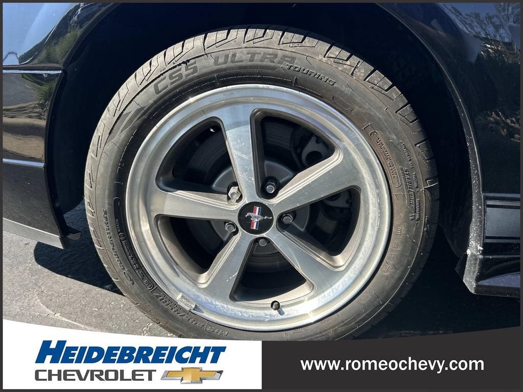 2004 Ford Mustang Premium Mach 1