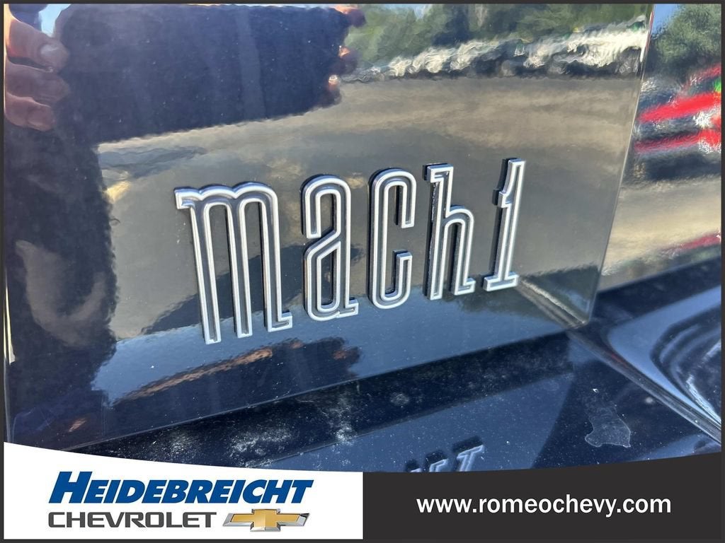 2004 Ford Mustang Premium Mach 1