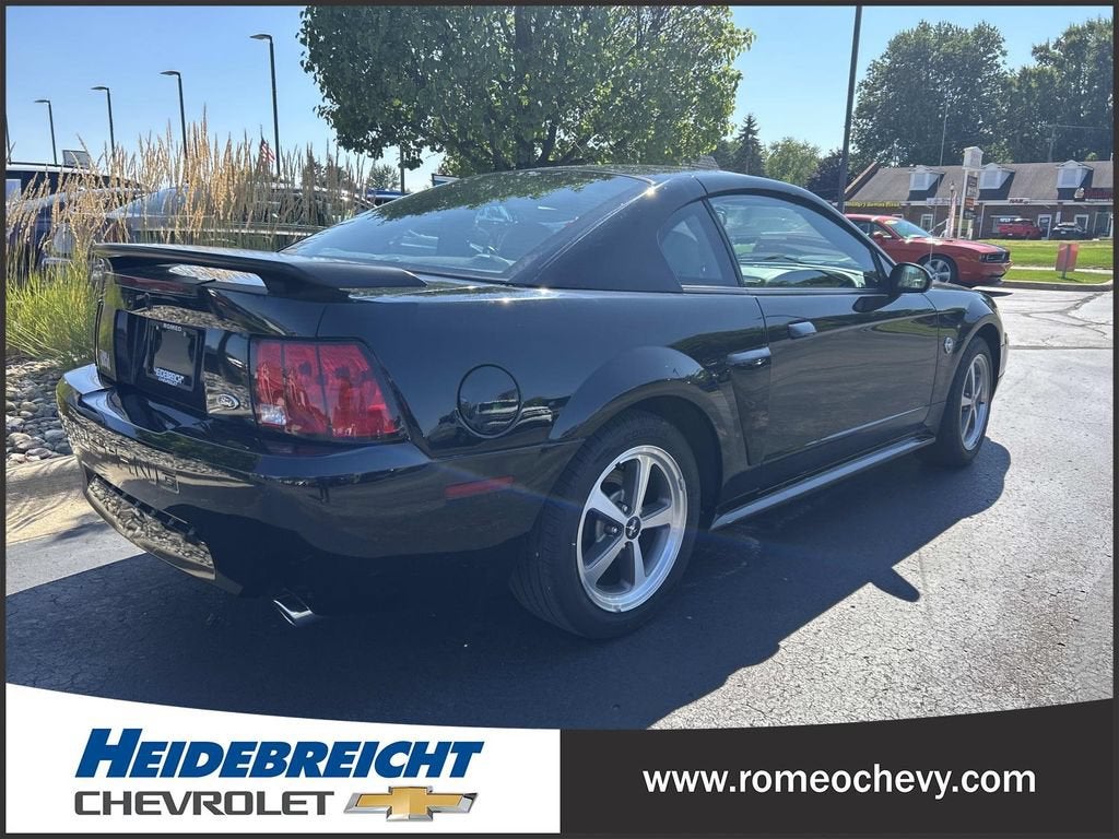 2004 Ford Mustang Premium Mach 1