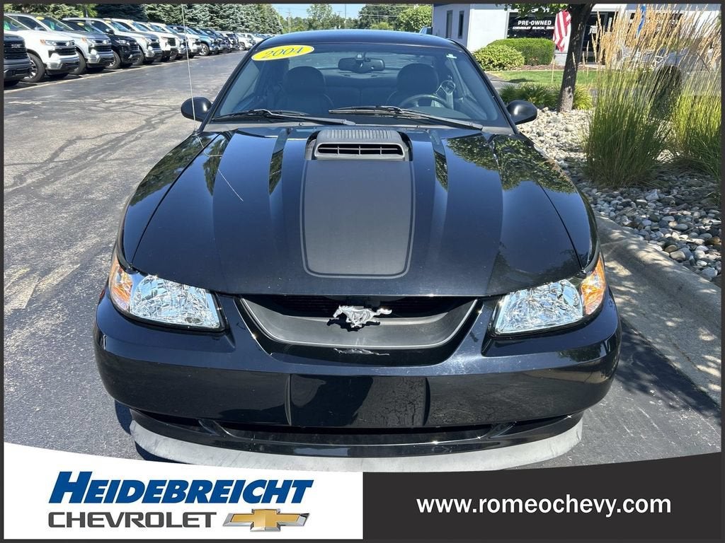 2004 Ford Mustang Premium Mach 1