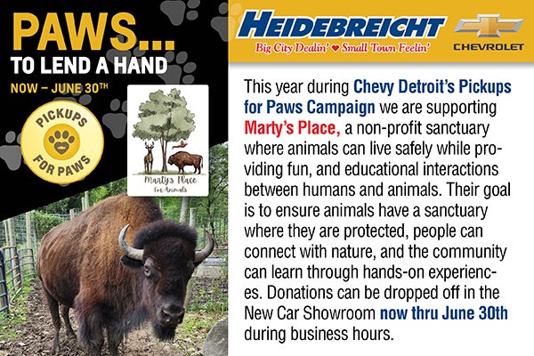 Support Marty's Place During Our Pickups for Paws Campaign!